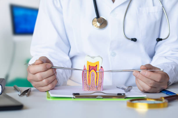 Best Mobile Emergency Dentist in Odessa, MO